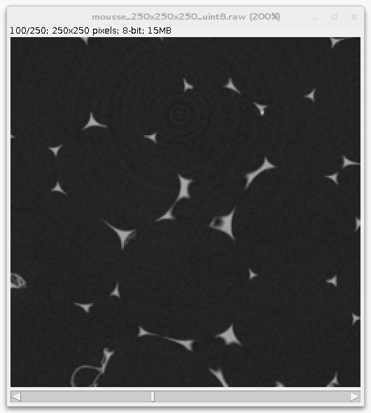 ../_images/mousse_250x250x250_uint8_slice100_ij.png